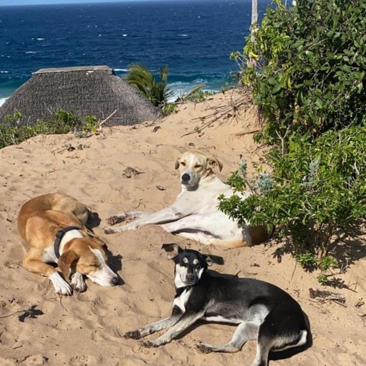 Mar-Me-Quer, Eco Beach Retreat Inhambane Zewnętrze zdjęcie