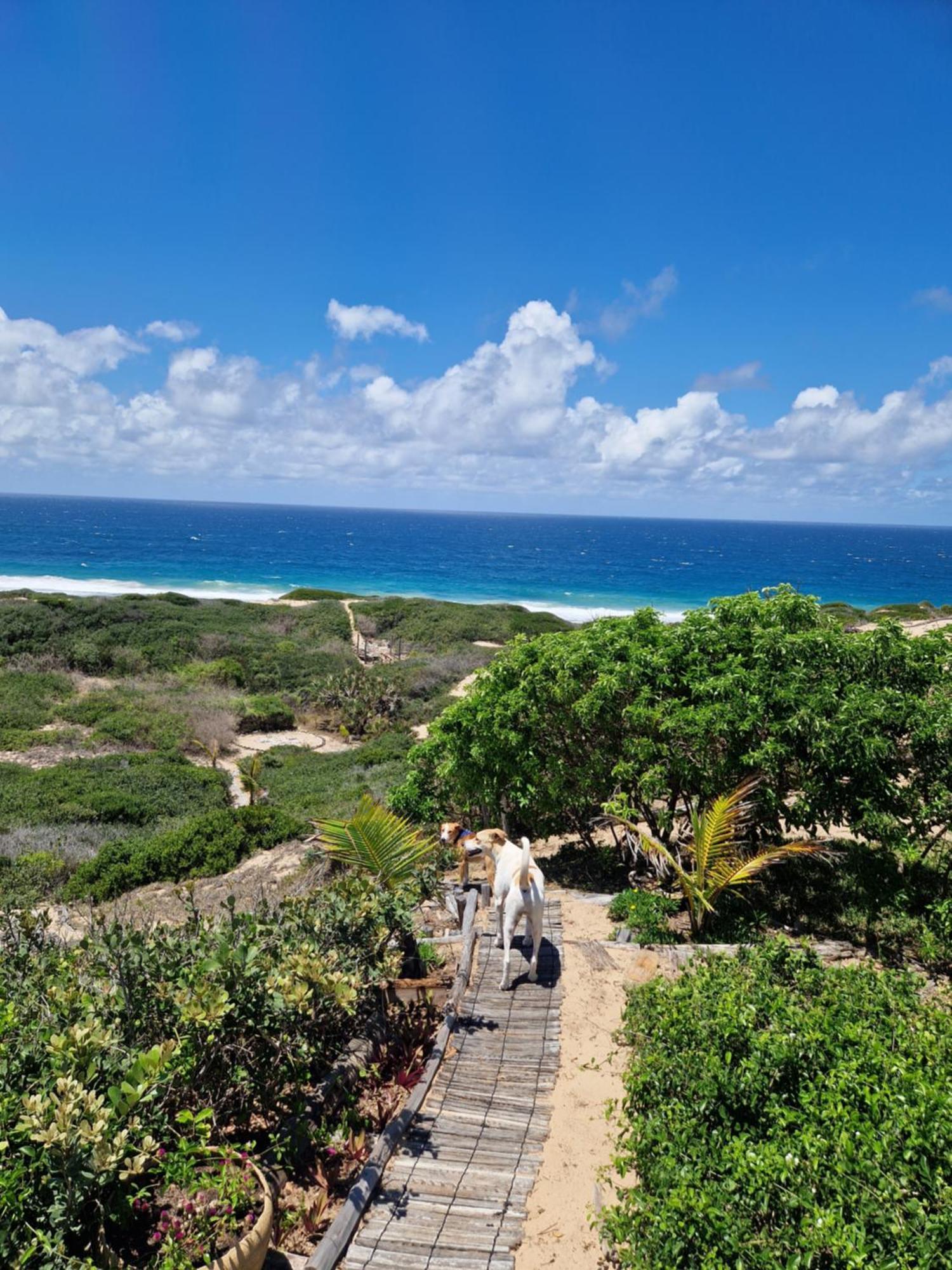 Mar-Me-Quer, Eco Beach Retreat Inhambane Zewnętrze zdjęcie