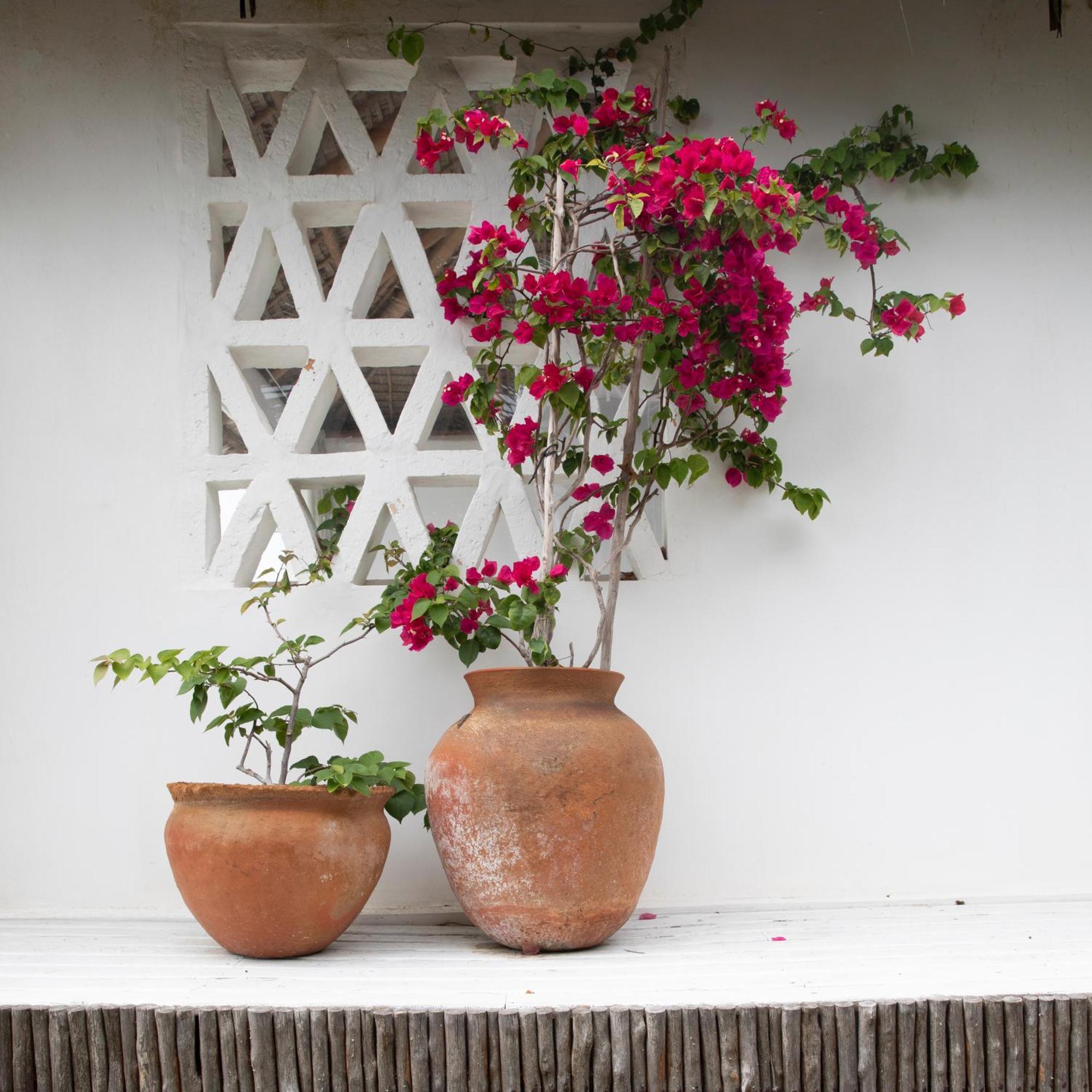 Mar-Me-Quer, Eco Beach Retreat Inhambane Zewnętrze zdjęcie